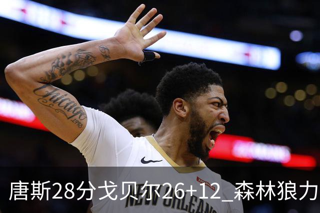 唐斯28分戈贝尔26+12 森林狼力克黄蜂4连胜